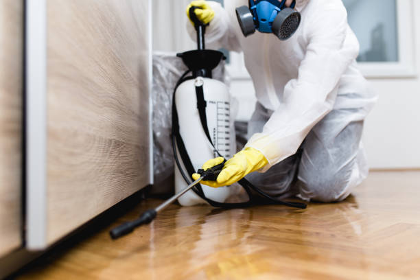 Best Pest Inspection Near Me  in Woodmere, LA