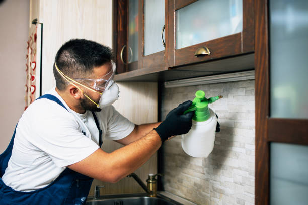 Best Cockroach Control Services  in Woodmere, LA