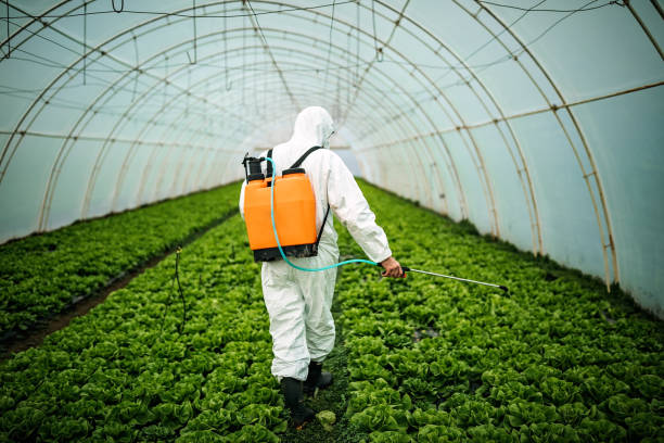 Professional Pest Control in Woodmere, LA