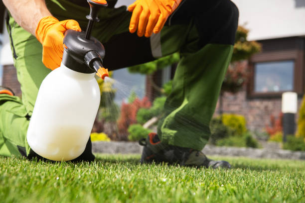 Best Best Pest Control Companies  in Woodmere, LA
