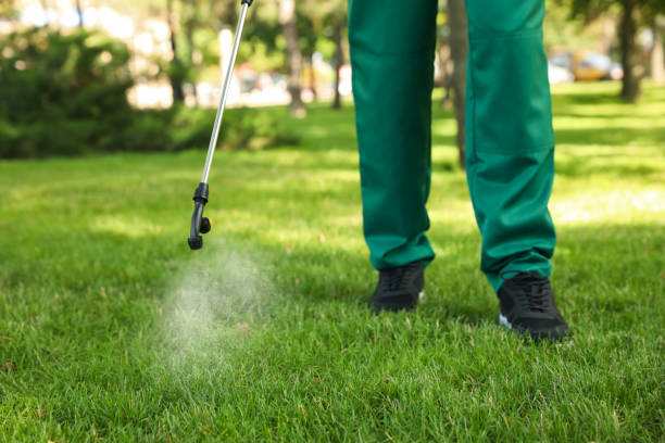 Wildlife Control Services in Woodmere, LA