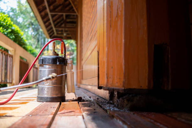 Best Termite Control Services  in Woodmere, LA