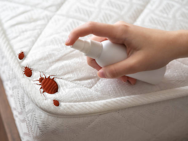 Best Commercial Pest Control Services  in Woodmere, LA