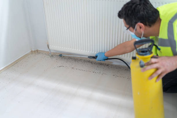 Best Exterminator Services  in Woodmere, LA